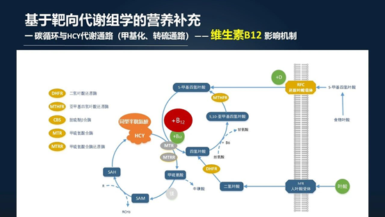 说明: C:\Users\haojian\Documents\WeChat Files\wxid_d1tt3vizsw4k22\FileStorage\Temp\9f08a50fc09ed0990e48eb71ba74ce14.jpg