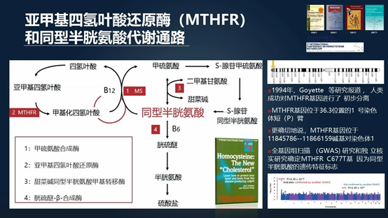 说明: C:\Users\haojian\Documents\WeChat Files\wxid_d1tt3vizsw4k22\FileStorage\Temp\93a7492352b9ad82aa3c3550d0daed29.jpg